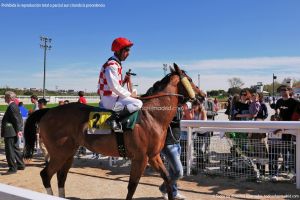 Foto Hipódromo de La Zarzuela 57