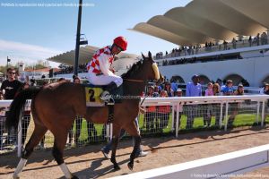 Foto Hipódromo de La Zarzuela 58