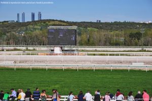 Foto Hipódromo de La Zarzuela 60