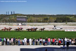 Foto Hipódromo de La Zarzuela 61