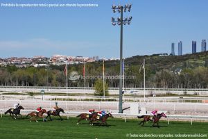 Foto Hipódromo de La Zarzuela 62