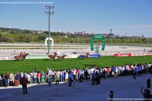 Foto Hipódromo de La Zarzuela 63