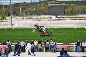 Foto Hipódromo de La Zarzuela 67