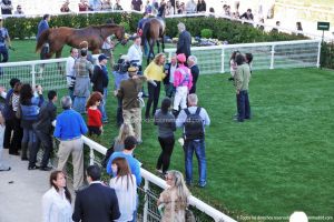 Foto Hipódromo de La Zarzuela 73