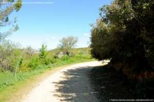 Foto Ruta Camino de San Galindo 9