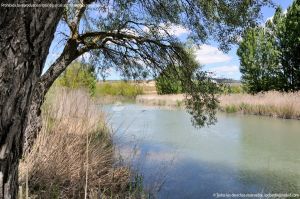 Foto Río Tajo y Los Pasos de Barca 6