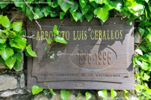 Foto Arboreto Luis Ceballos 19