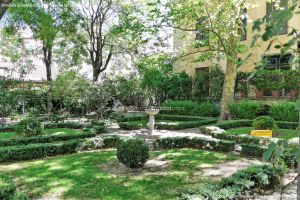 Foto Jardín del Principe Anglona 7