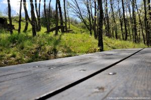 Foto Área Recreativa La Alberca Y La Tejera 14