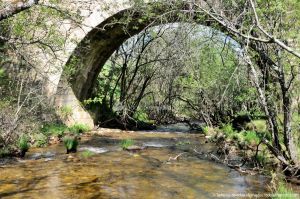 Foto Área Recreativa La Alberca Y La Tejera 40