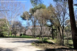 Foto Parque Quinta de los Molinos 54